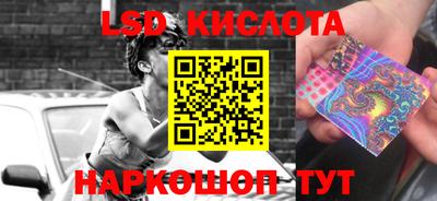 гидропоника Будённовск