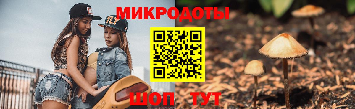 Псилоцибиновые грибы прущие грибы Лабинск