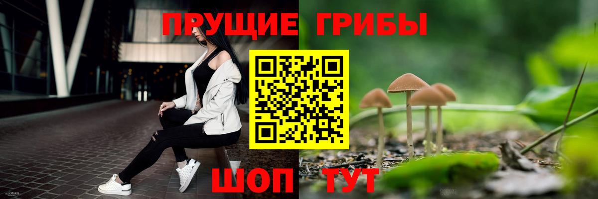 Лабинск  Галлюциногенные грибы Psilocybine cubensis  Вход с VPN  Псилоцибиновые грибы GOLDEN TEACHER 